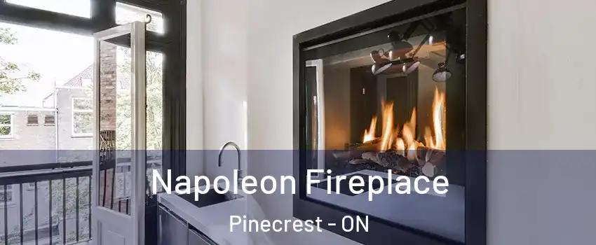  Napoleon Fireplace Pinecrest - ON