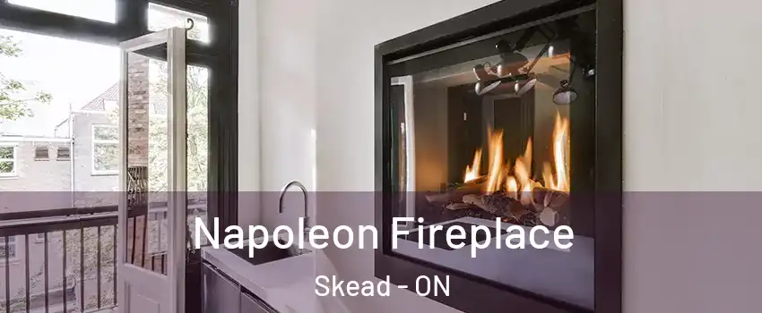  Napoleon Fireplace Skead - ON