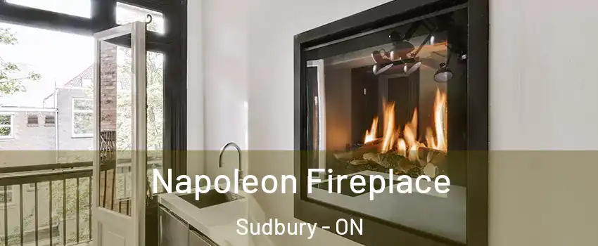  Napoleon Fireplace Sudbury - ON
