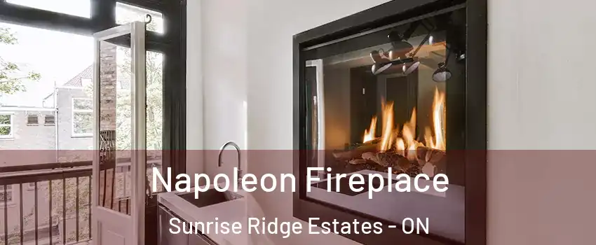  Napoleon Fireplace Sunrise Ridge Estates - ON