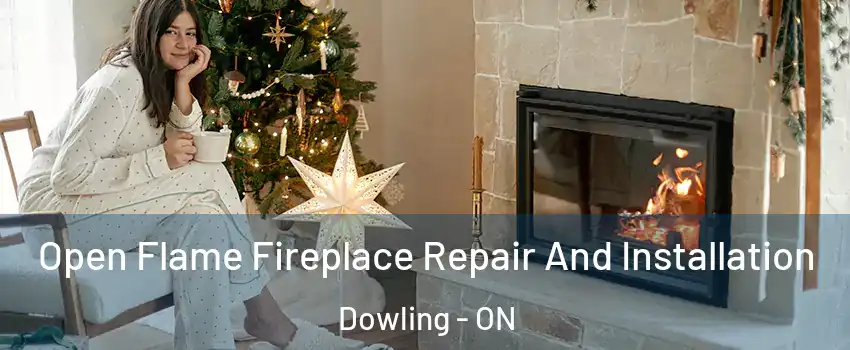  Open Flame Fireplace Repair And Installation Dowling - ON