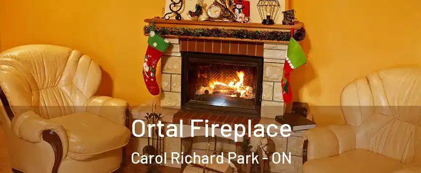 Ortal Fireplace Carol Richard Park - ON
