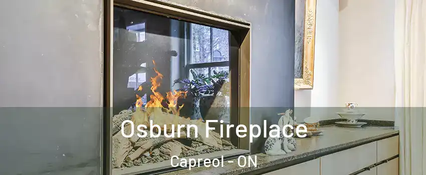  Osburn Fireplace Capreol - ON