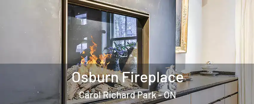  Osburn Fireplace Carol Richard Park - ON