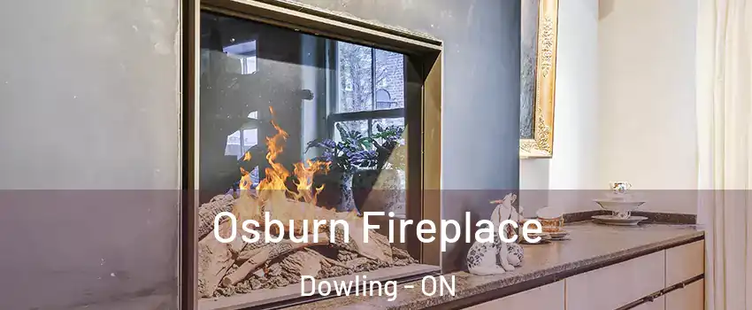  Osburn Fireplace Dowling - ON