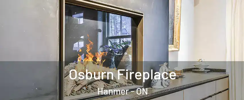  Osburn Fireplace Hanmer - ON