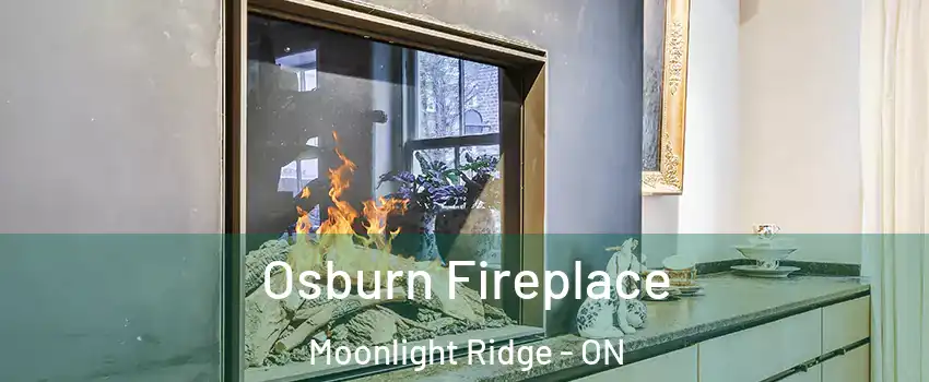  Osburn Fireplace Moonlight Ridge - ON