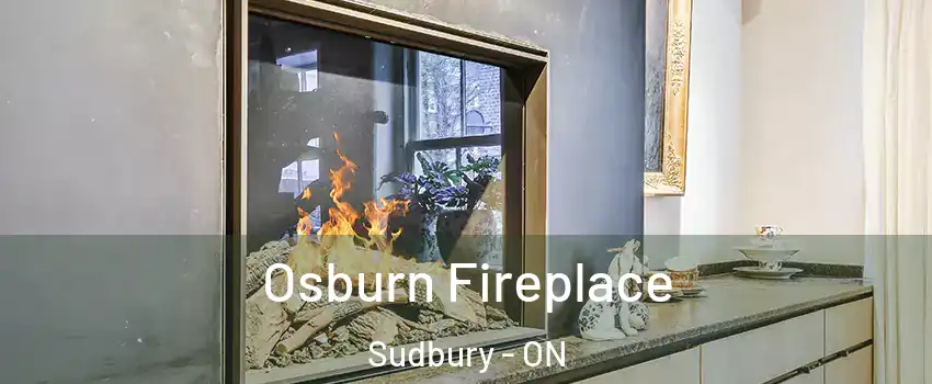 Osburn Fireplace Sudbury - ON