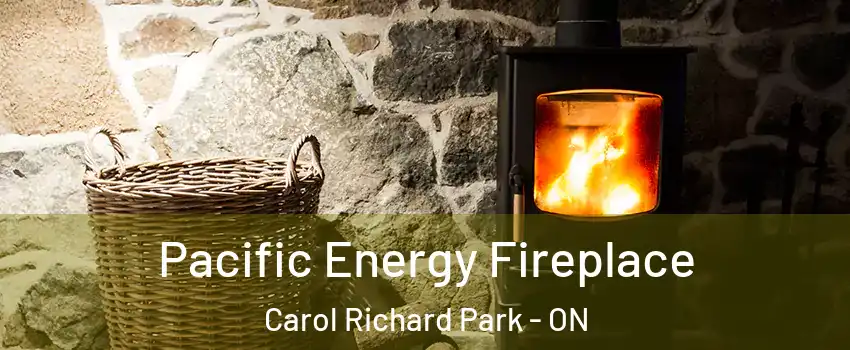  Pacific Energy Fireplace Carol Richard Park - ON