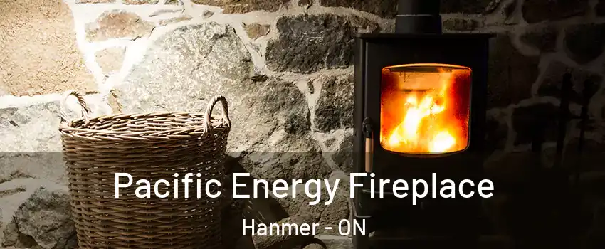  Pacific Energy Fireplace Hanmer - ON