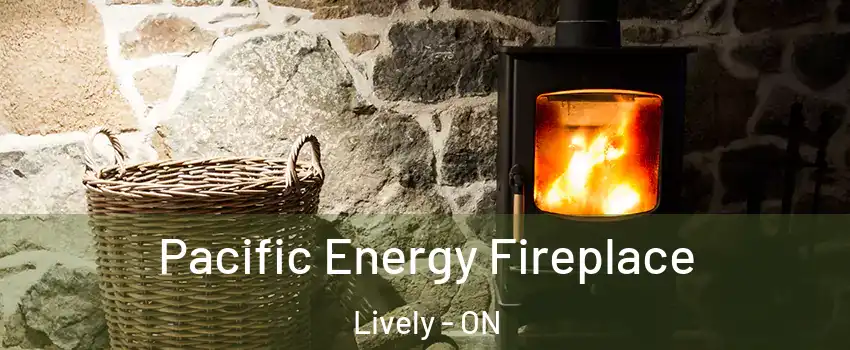  Pacific Energy Fireplace Lively - ON