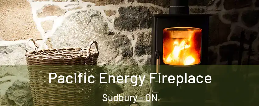  Pacific Energy Fireplace Sudbury - ON