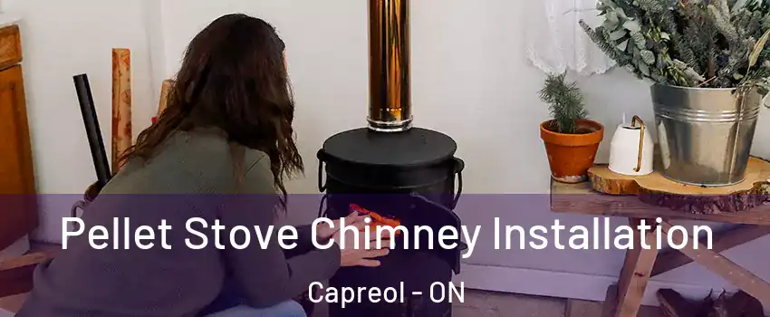 Pellet Stove Chimney Installation Capreol - ON