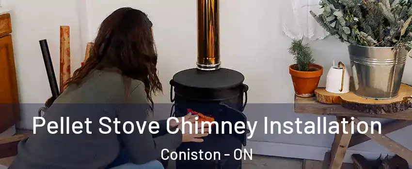  Pellet Stove Chimney Installation Coniston - ON