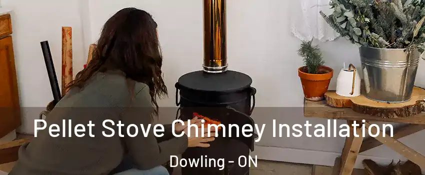  Pellet Stove Chimney Installation Dowling - ON