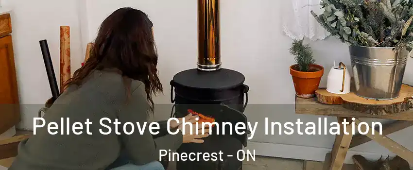  Pellet Stove Chimney Installation Pinecrest - ON