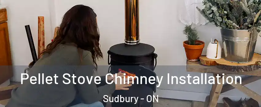  Pellet Stove Chimney Installation Sudbury - ON