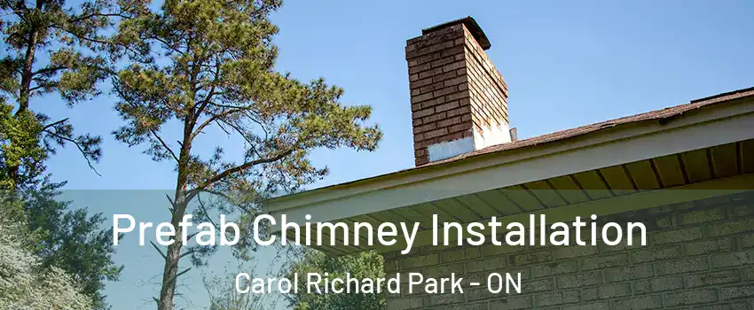  Prefab Chimney Installation Carol Richard Park - ON