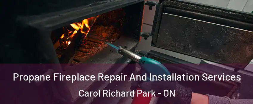 Propane Fireplace Repair And Installation Services Carol Richard Park - ON