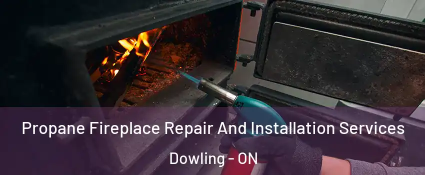 Propane Fireplace Repair And Installation Services Dowling - ON