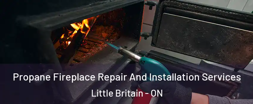 Propane Fireplace Repair And Installation Services Little Britain - ON