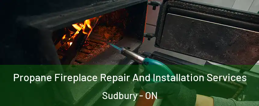 Propane Fireplace Repair And Installation Services Sudbury - ON