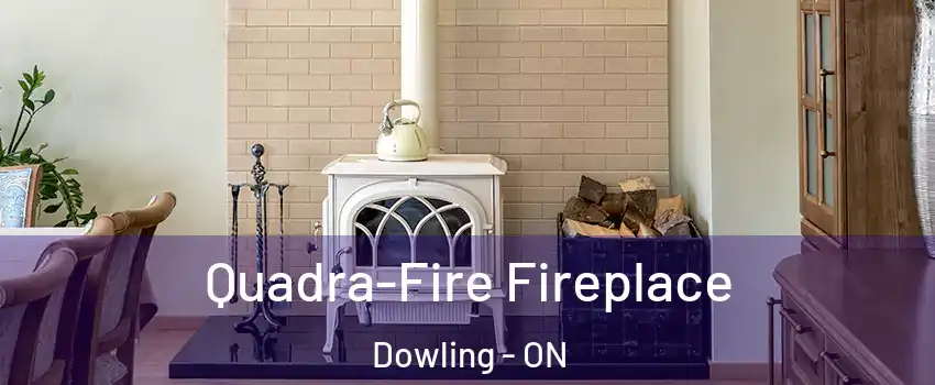  Quadra-Fire Fireplace Dowling - ON
