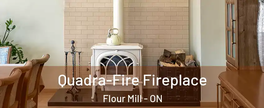  Quadra-Fire Fireplace Flour Mill - ON