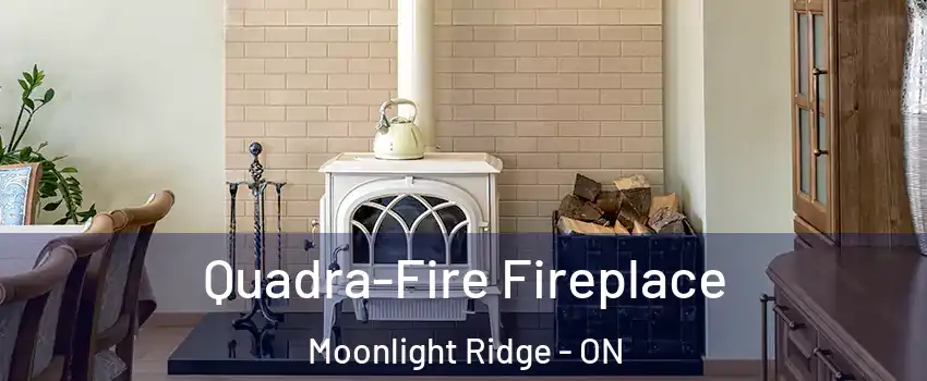 Quadra-Fire Fireplace Moonlight Ridge - ON