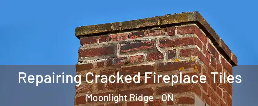  Repairing Cracked Fireplace Tiles Moonlight Ridge - ON