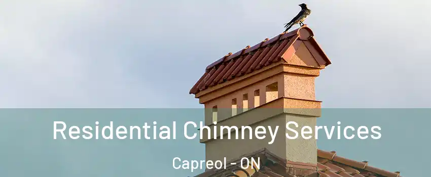  Residential Chimney Services Capreol - ON