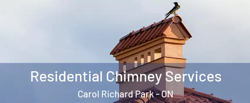  Residential Chimney Services Carol Richard Park - ON