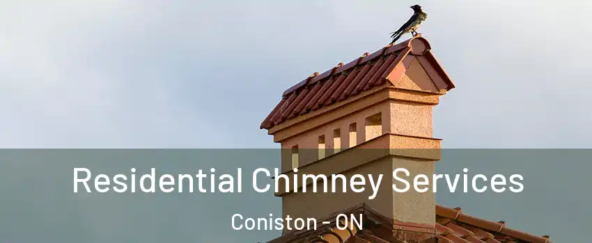  Residential Chimney Services Coniston - ON
