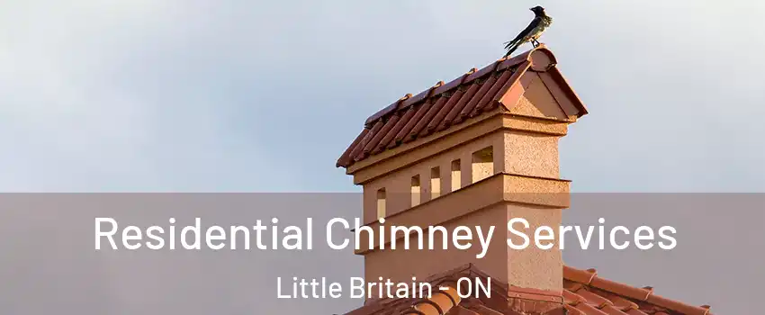  Residential Chimney Services Little Britain - ON