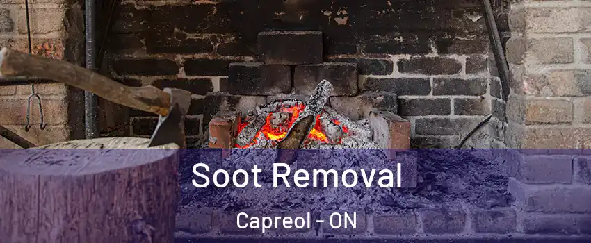  Soot Removal Capreol - ON