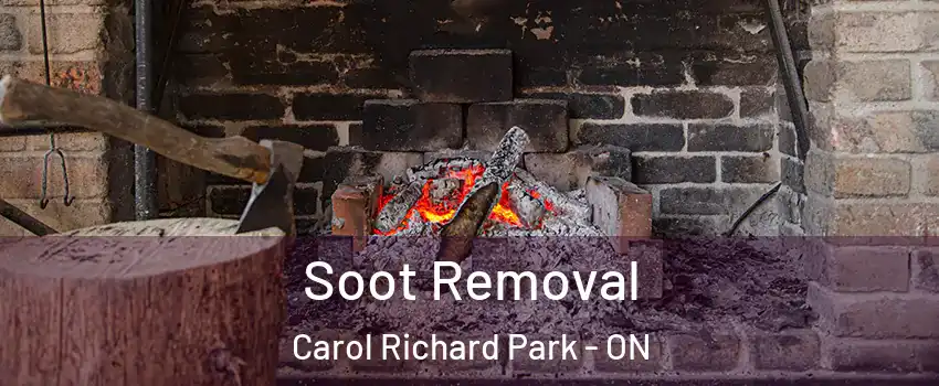 Soot Removal Carol Richard Park - ON