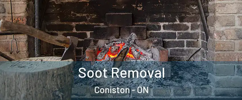  Soot Removal Coniston - ON