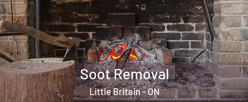  Soot Removal Little Britain - ON