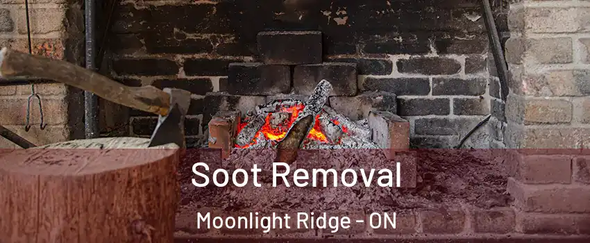  Soot Removal Moonlight Ridge - ON
