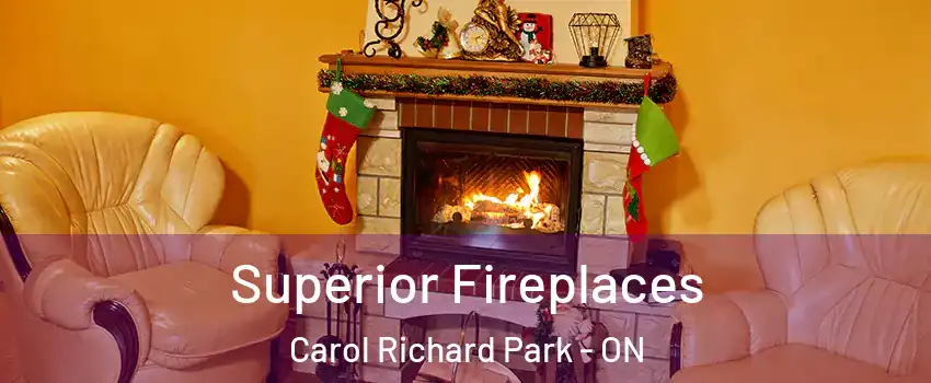  Superior Fireplaces Carol Richard Park - ON