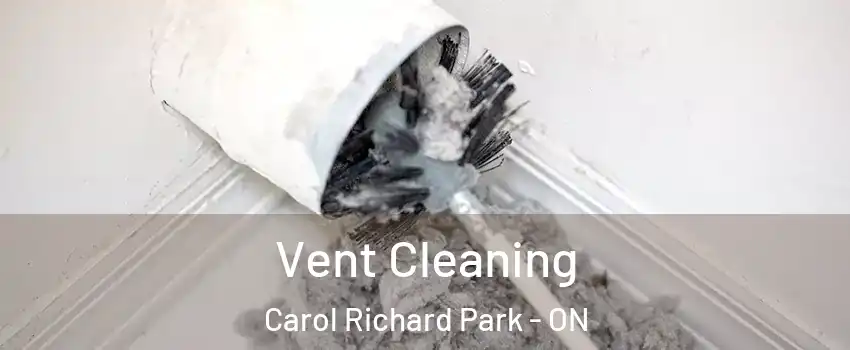  Vent Cleaning Carol Richard Park - ON