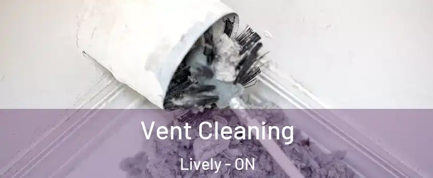  Vent Cleaning Lively - ON