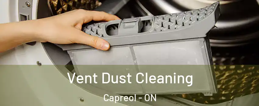  Vent Dust Cleaning Capreol - ON