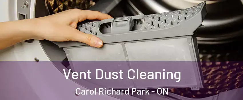  Vent Dust Cleaning Carol Richard Park - ON