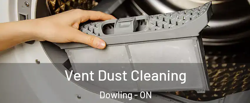  Vent Dust Cleaning Dowling - ON