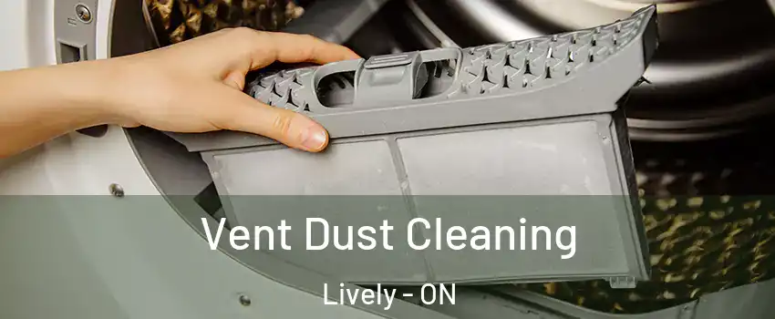 Vent Dust Cleaning Lively - ON
