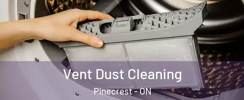  Vent Dust Cleaning Pinecrest - ON