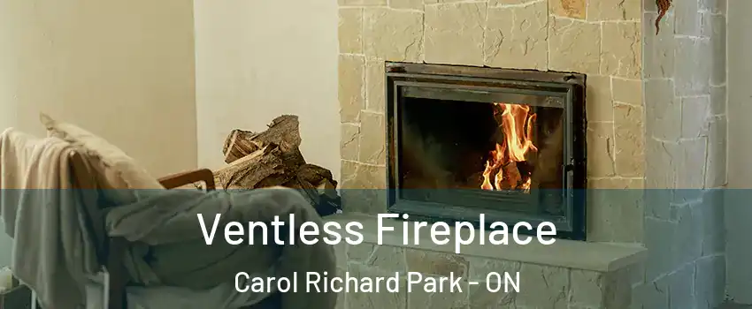  Ventless Fireplace Carol Richard Park - ON
