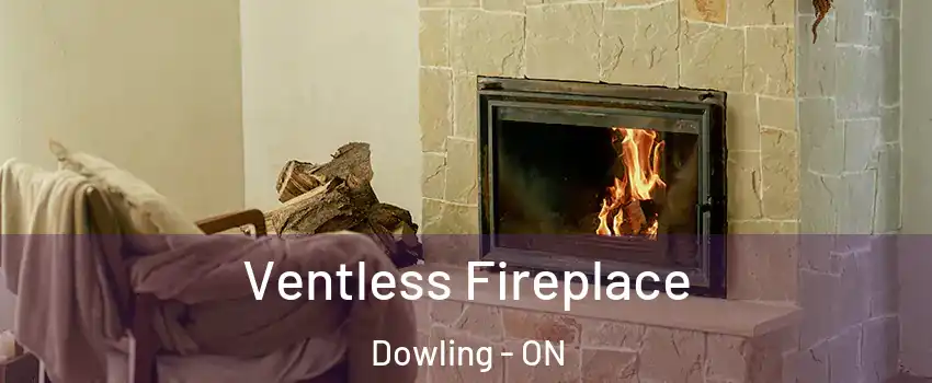  Ventless Fireplace Dowling - ON