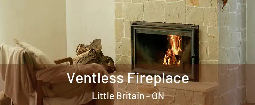  Ventless Fireplace Little Britain - ON